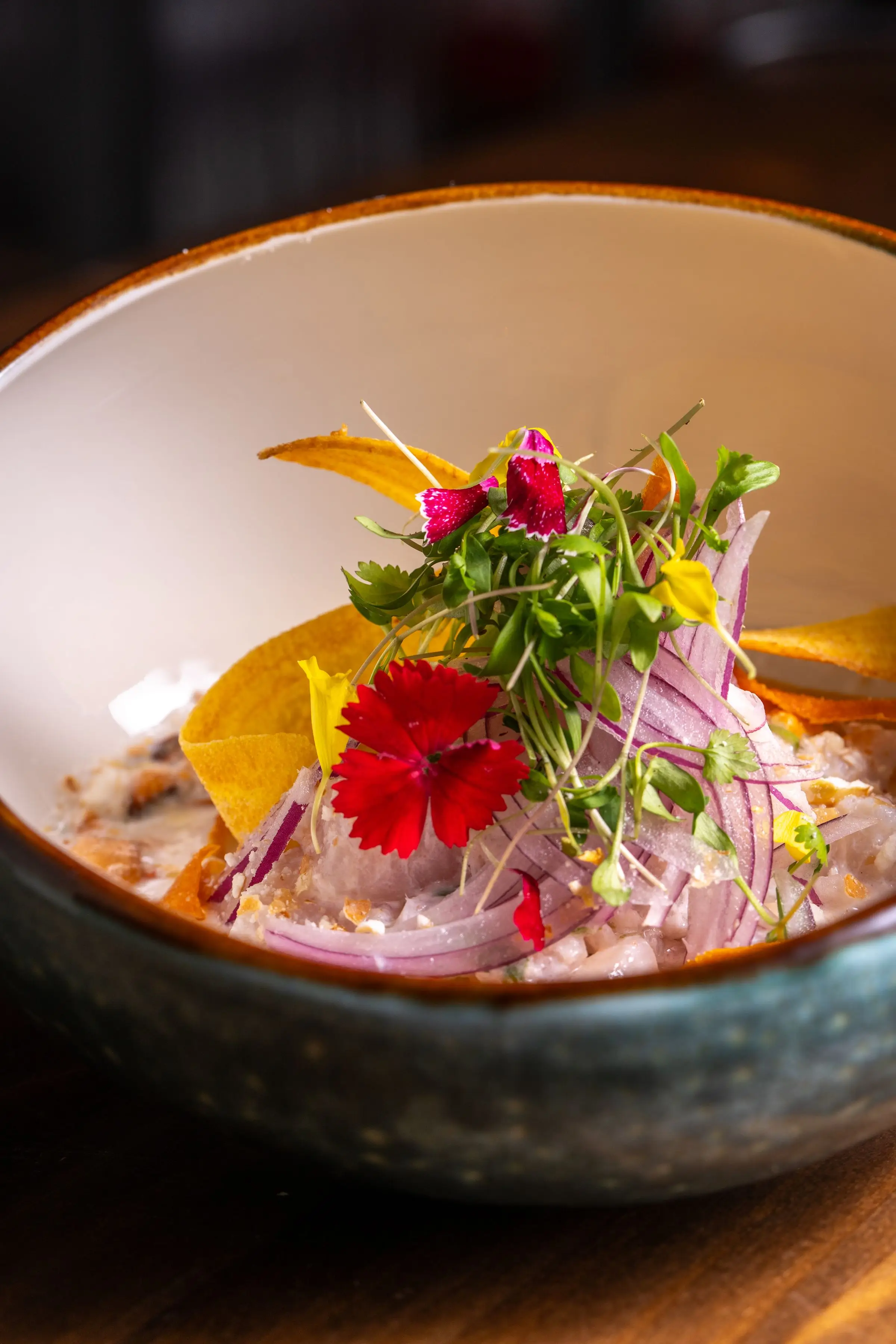 Ceviche with microgreens at a Nosara restaurant