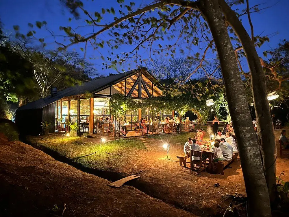 Coyol (photo courtesy of the venue)