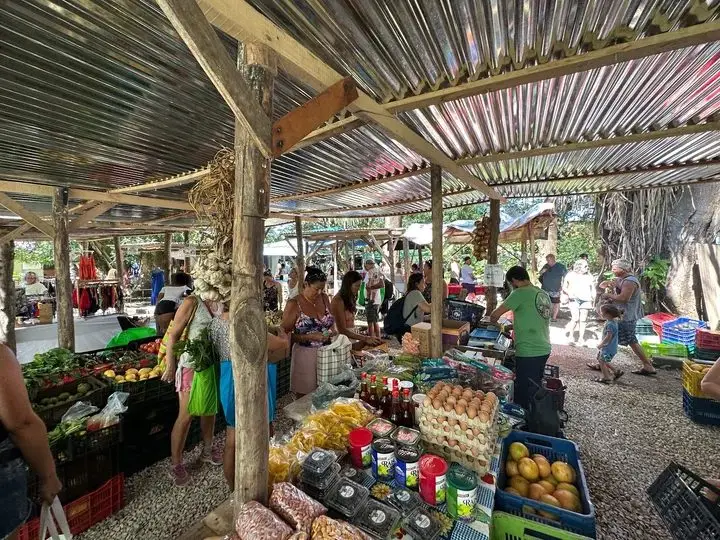 Nosara Farmers Market (La Feria) (photo courtesy of the venue)