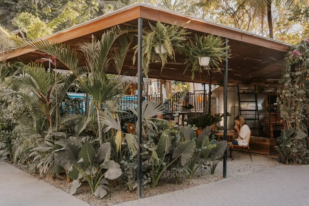 A jungle-wrapped open-air cafe corner in Playa Guiones (photo courtesy of Haley Blackall)