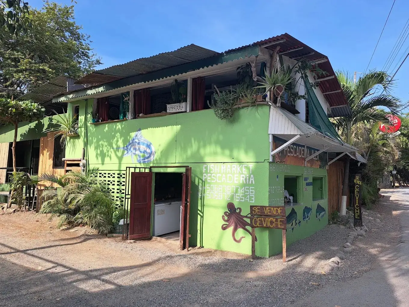 Pescadería Alex's green storefront with its octopus mural in Playa Garza
