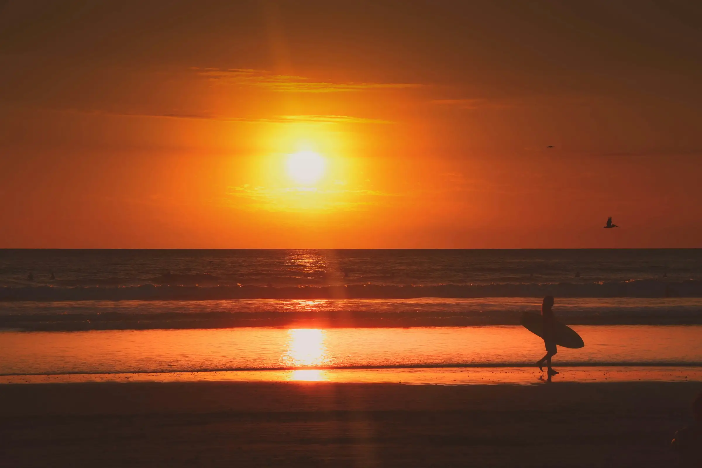 Surfer at sunset on Playa Guiones