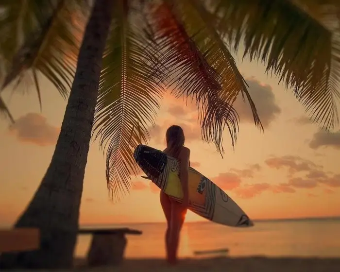 Learn to surf as a family (photo courtesy of the operator)